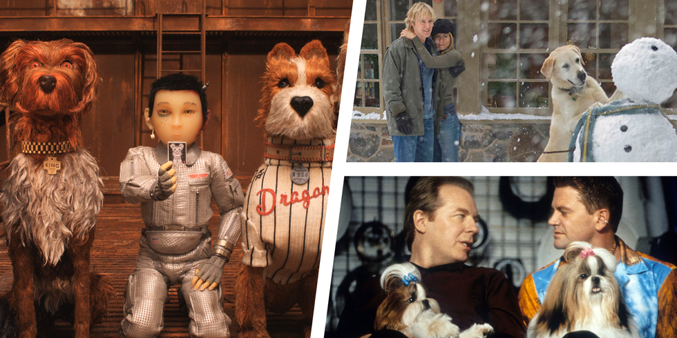 The 22 Ideal Dog Movies of All Time