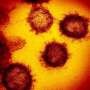 Pupil shuttle sparks virus cluster in Spain