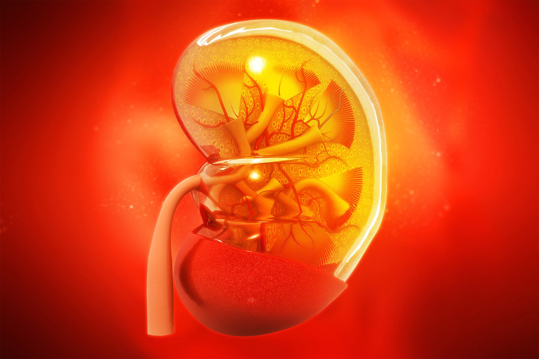 Modern Kidney Donor ‘Voucher’ Machine Is Saving Lives