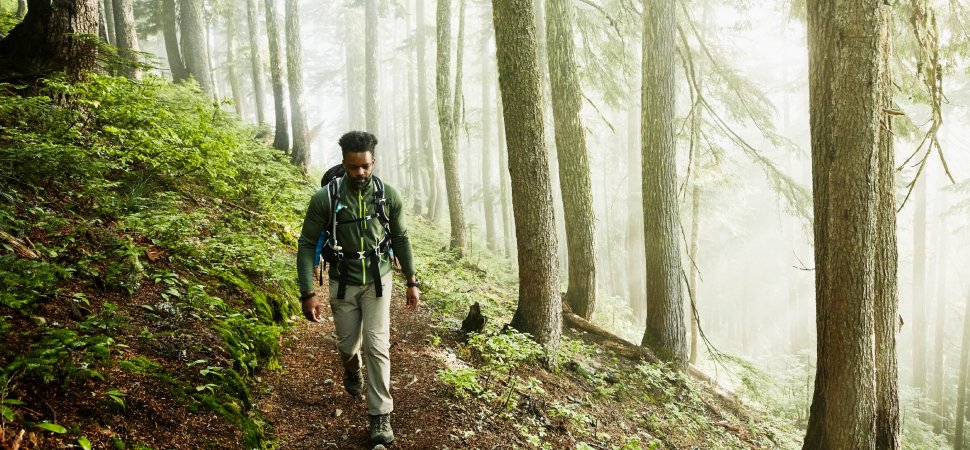 Why Your Enterprise Will Profit From You Spending Time in Nature This Summer