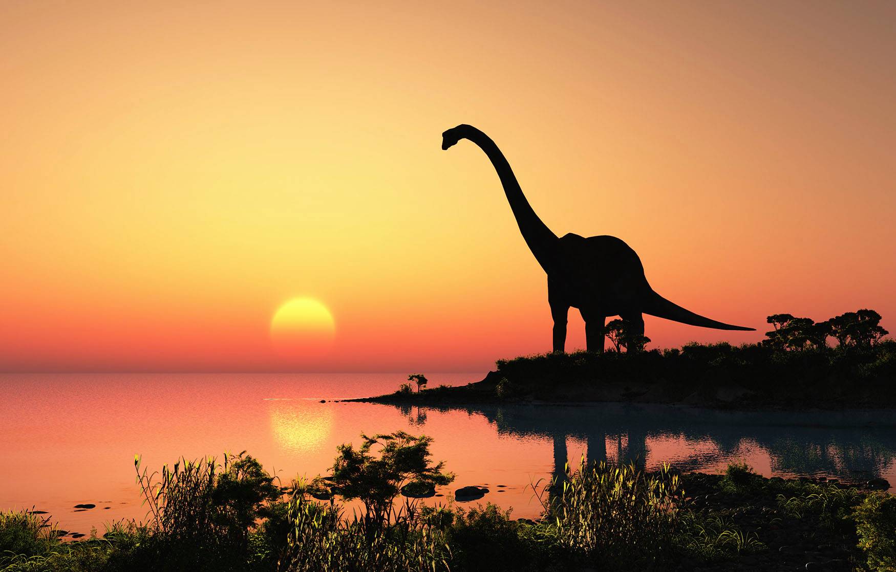 See says dinosaurs were already headed for extinction when the asteroid hit