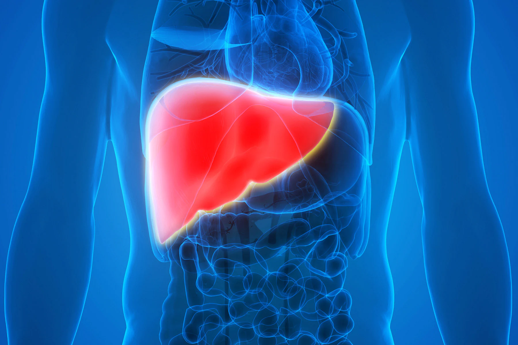 Quick Hepatitis C Test Would possibly well Strengthen Prognosis, Therapy