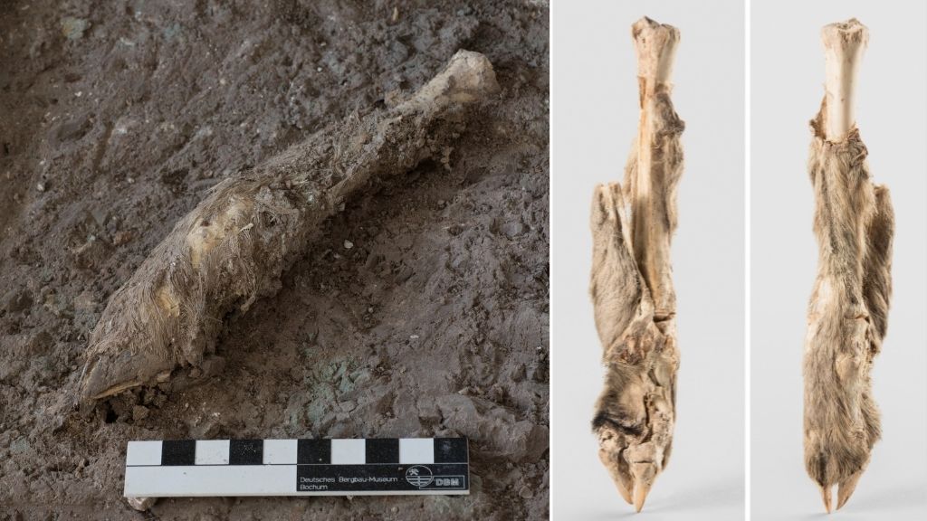 Pristine DNA recovered from 1,600-year-aged sheep mummy