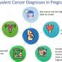 Researchers inform most overall issues associated to cancer in pregnant women folks