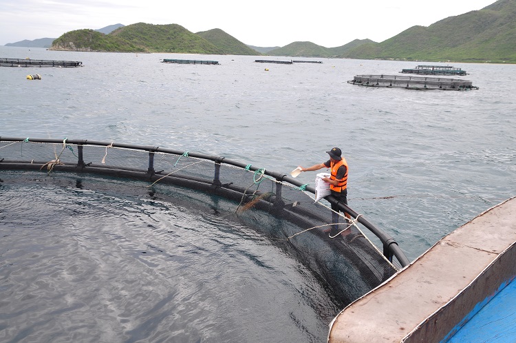 ‘There are many myths surrounding fish farming’: How aquaculture is leveraging tech for an economically and environmentally luminous future