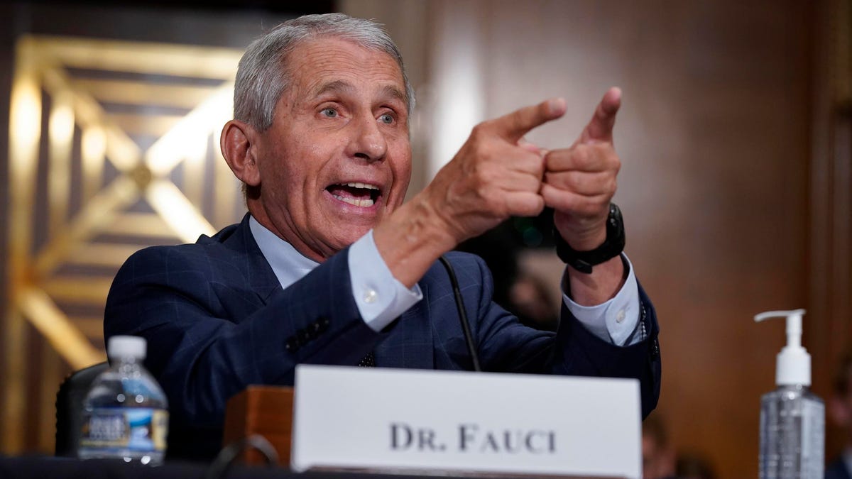 Fauci And Rand Paul Accuse Every Various Of Lying In Aggravating Testimony Over Covid Origins