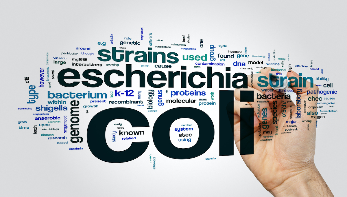 E. coli outbreak sickens young children in Ireland