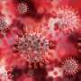 Canada legit: 4th virus wave imaginable if steps no longer taken