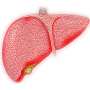 Radio-wave therapy is genuine for liver cancer sufferers and reveals development in total survival