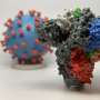‘Triple contagion’: How fears impact coronavirus transmission