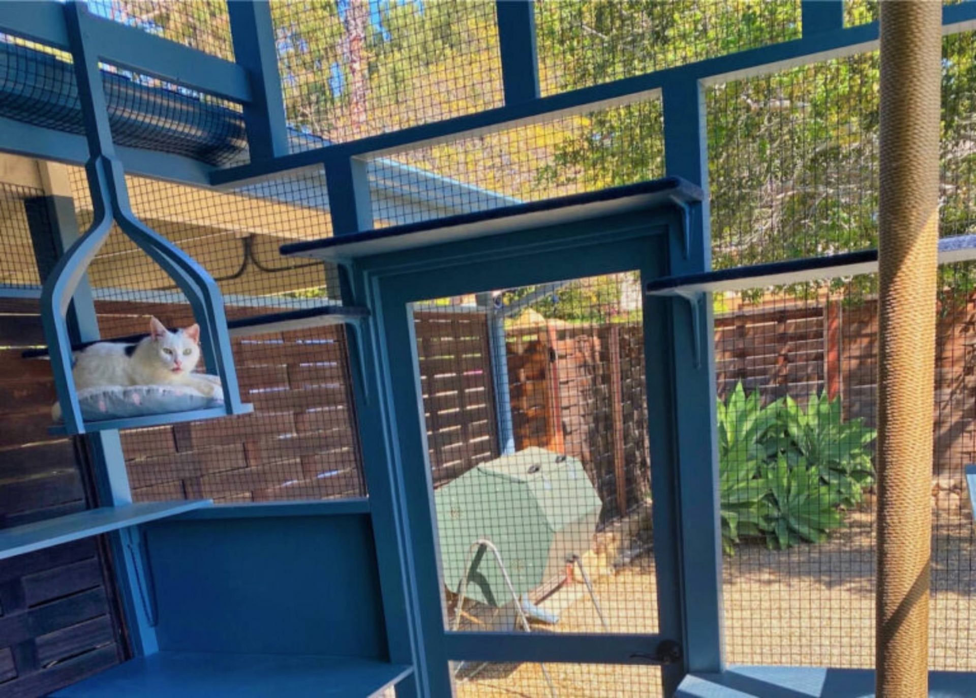Tricks to make the most acquire, most purr-fect catio in your feline overlord