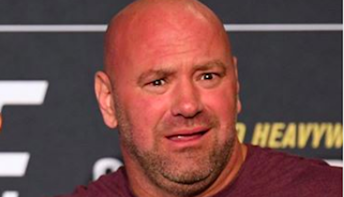 Dana White guidelines out working with ‘tense’ Jake Paul
