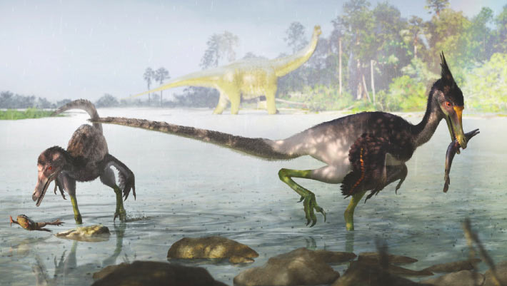 New Feathered Dinosaur Species Published