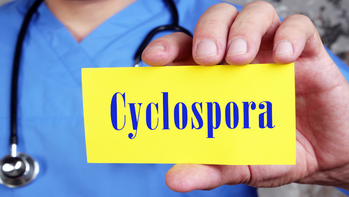 New Cyclospora outbreak announcement has few crucial ingredients; patient depend up in one other