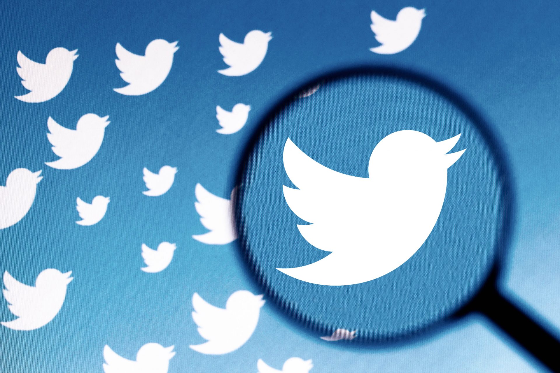 Twitter’s most widespread experiment is a instrument for reporting ‘misleading’ tweets