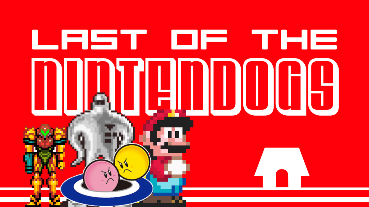 Switch favorites and does this sport see admire Mega Man X or Castlevania? Final of the Nintendogs 008