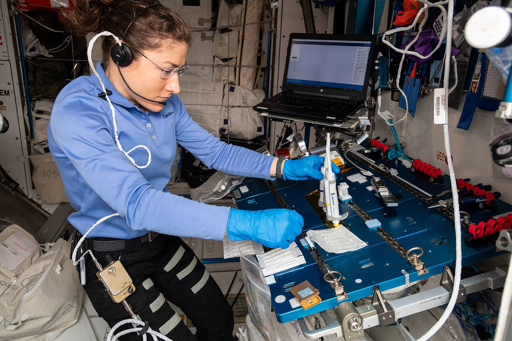 Astronauts efficiently show DNA repair in space utilizing CRISPR skills