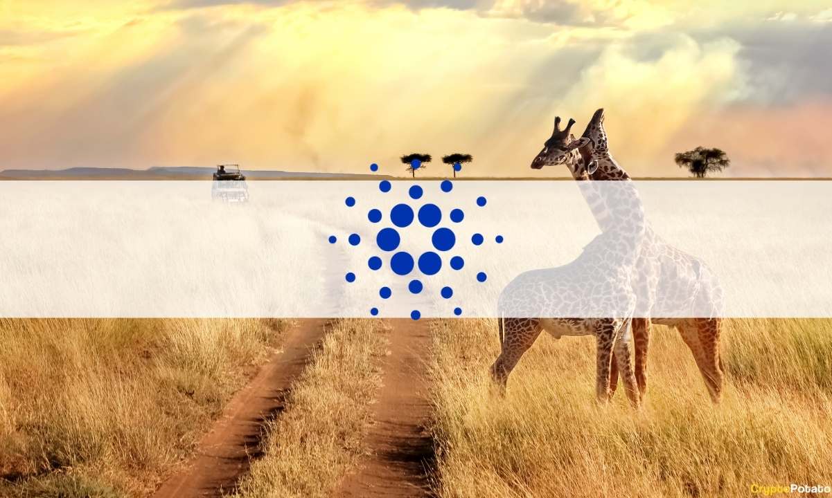 Cardano’s IOHK Partnered with EBU to Originate Education in Africa Extra Accessible