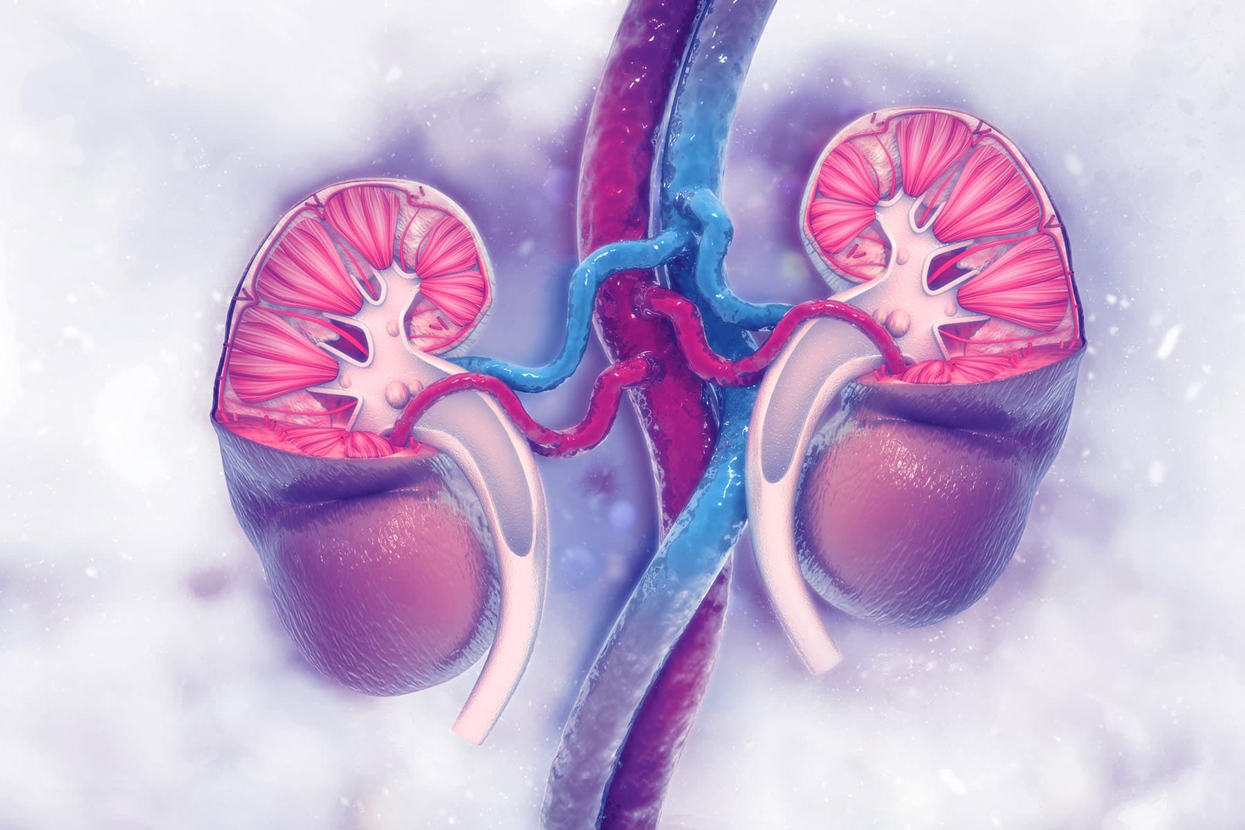 Kidney Danger One other Outcome of ‘Long COVID’