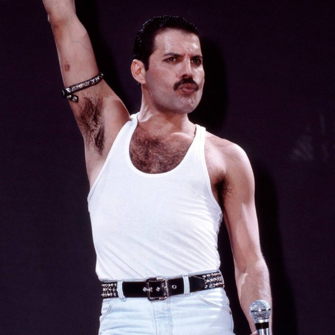 The Reality About Freddie Mercury’s Incredibly Subtle Lifestyles Is Assured to Blow Your Tips