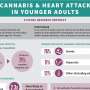 Present cannabis use linked to heart assault anguish in youthful adults