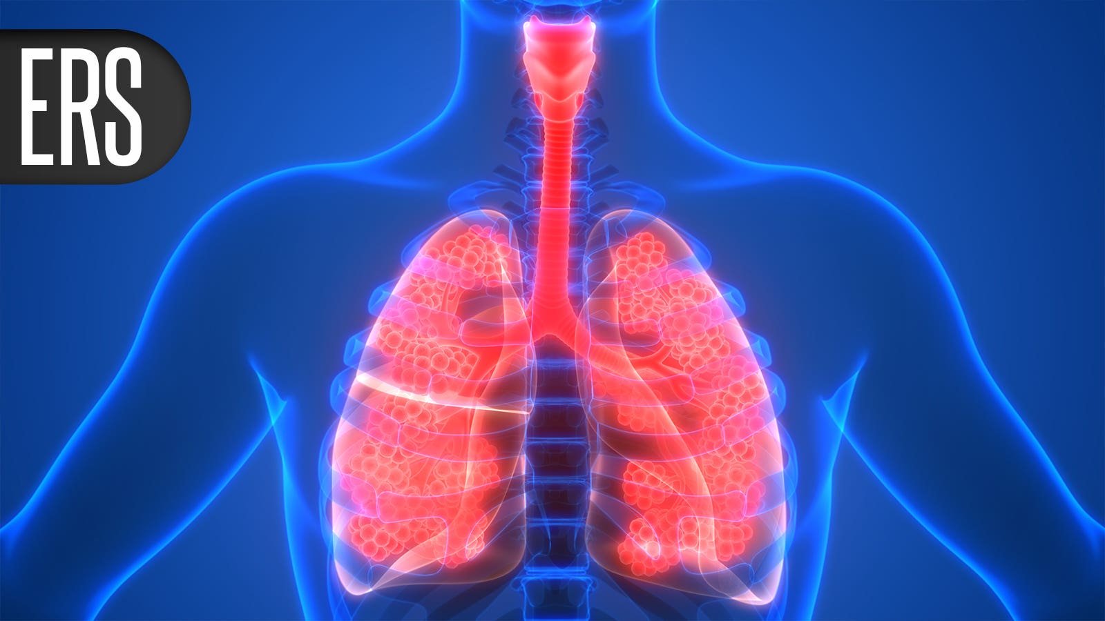 Focused on Bacteria in COPD Reveals Promise