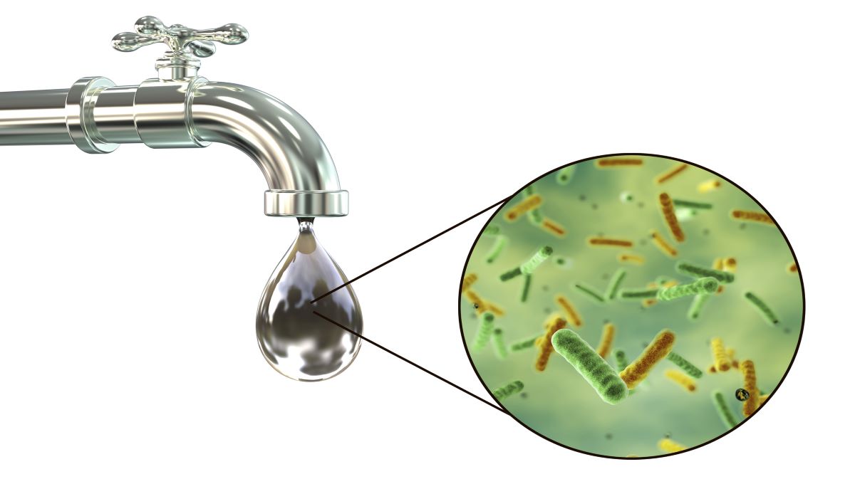 Researchers receive Italian Giardia outbreak linked to tap water
