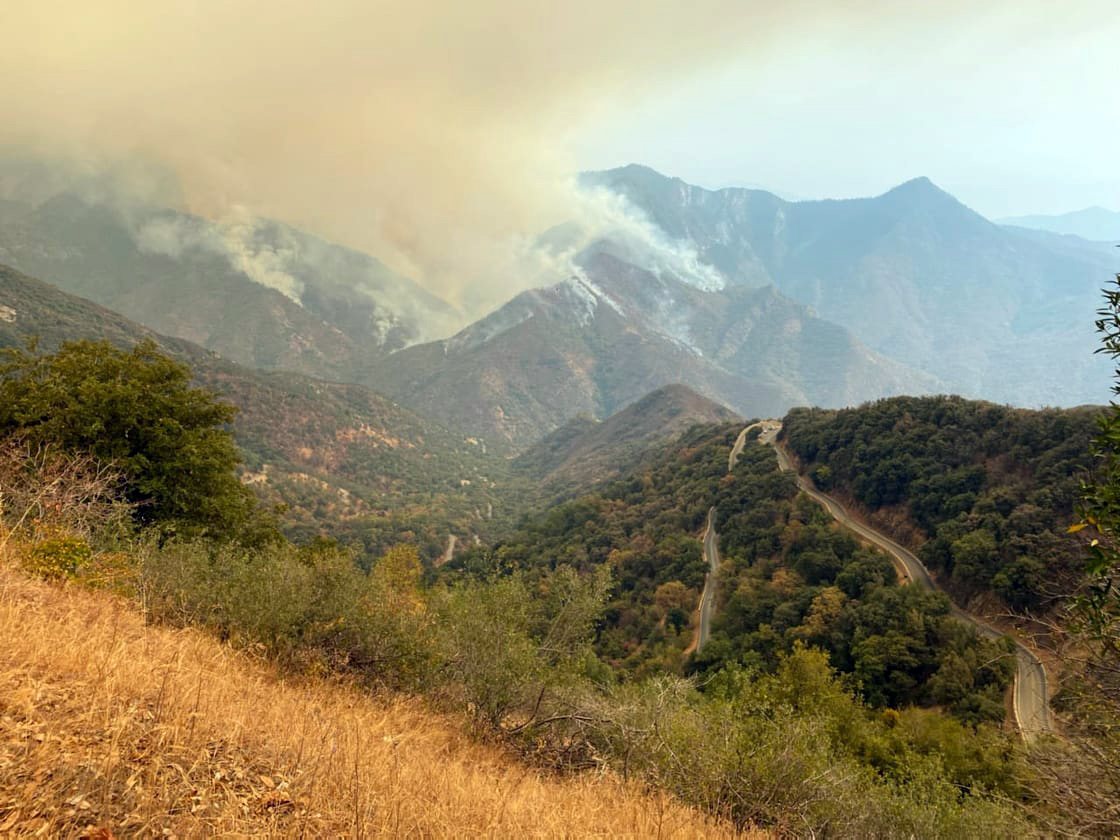 California’s ideal bushes threatened by fire in Sequoia Nationwide Park