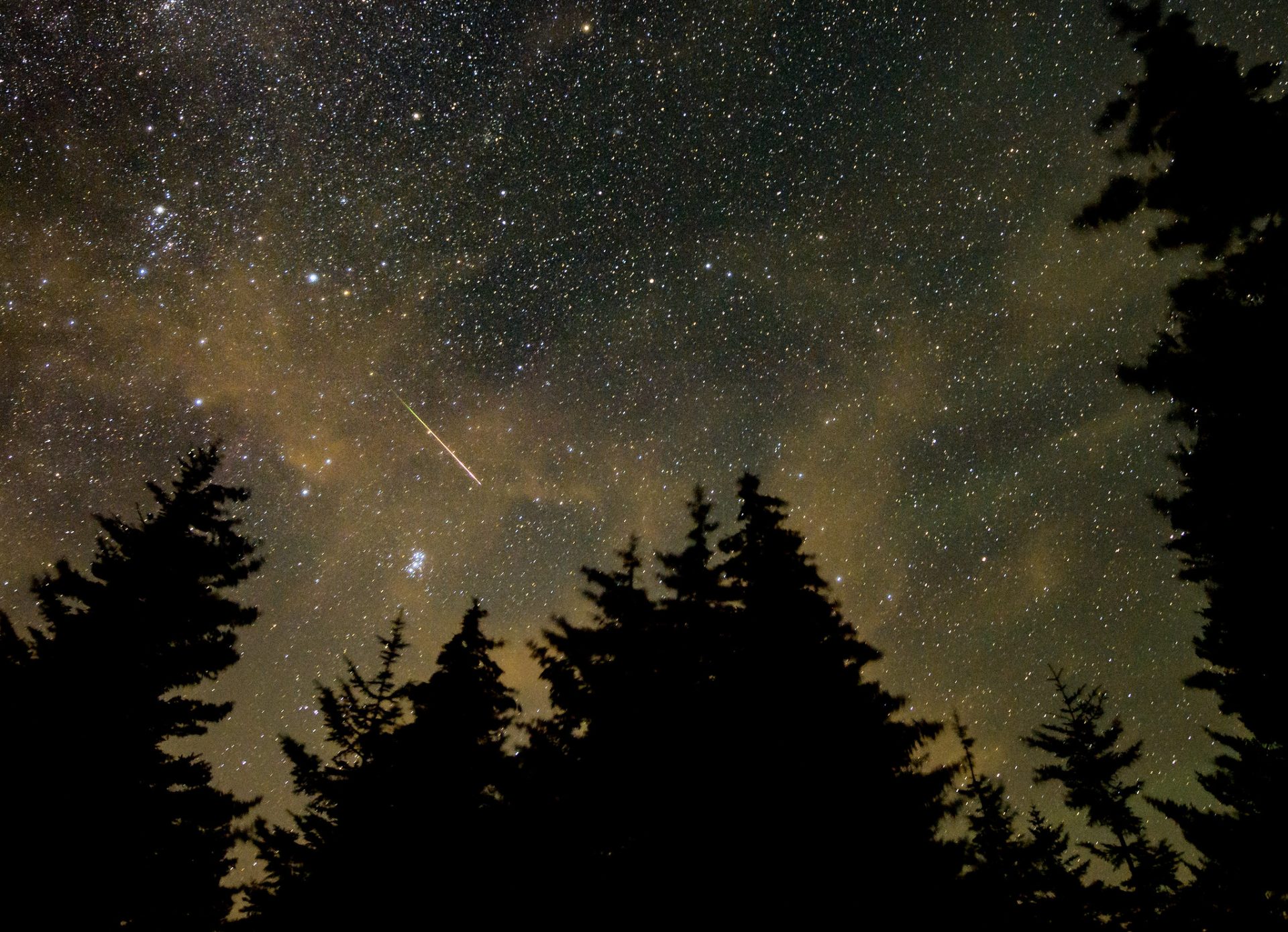 Meteor showers and shooting stars: Formation, facts and discovery