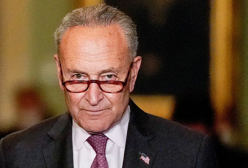 Senator Schumer: Purpose is to make your mind up up every bills done in next month