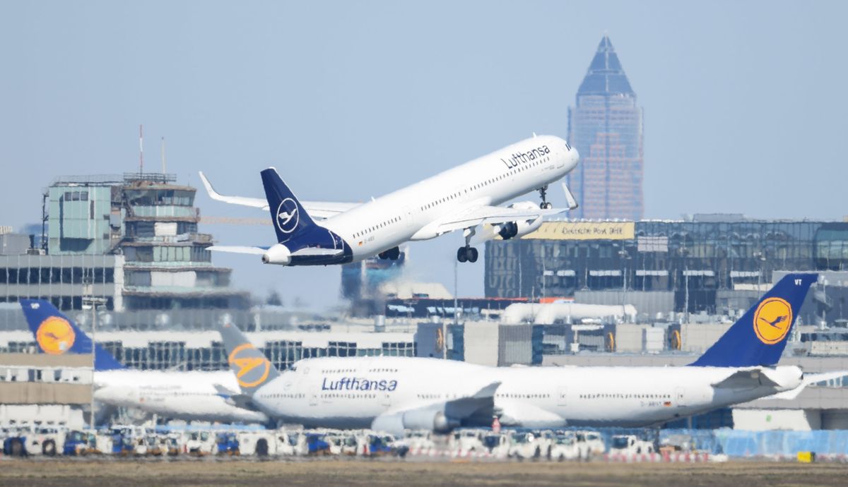 Lufthansa Provides Flights, Sees Rising Build a question to on Leisure Routes
