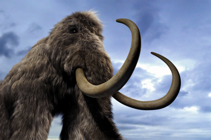 Church to de-extinct woolly mammoths