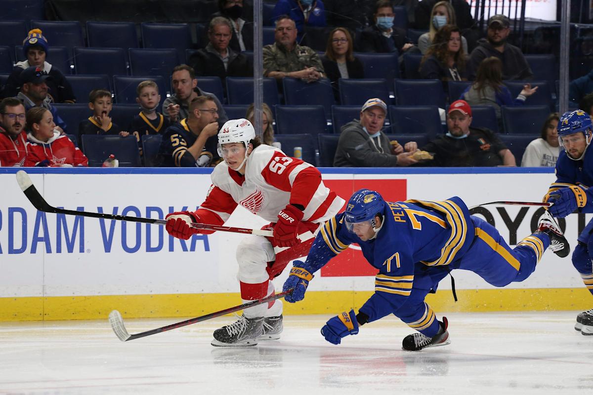 Detroit Crimson Wings takeaways from 3-1 loss to Buffalo Sabres: Who stood out, what’s next