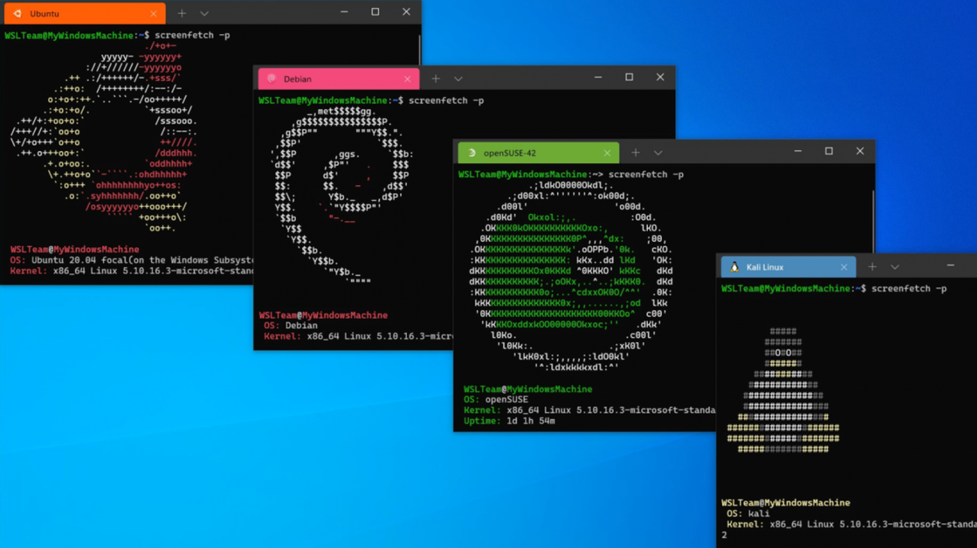 Home windows 11’s Home windows Subsystem for Linux Will get Faster Updates
