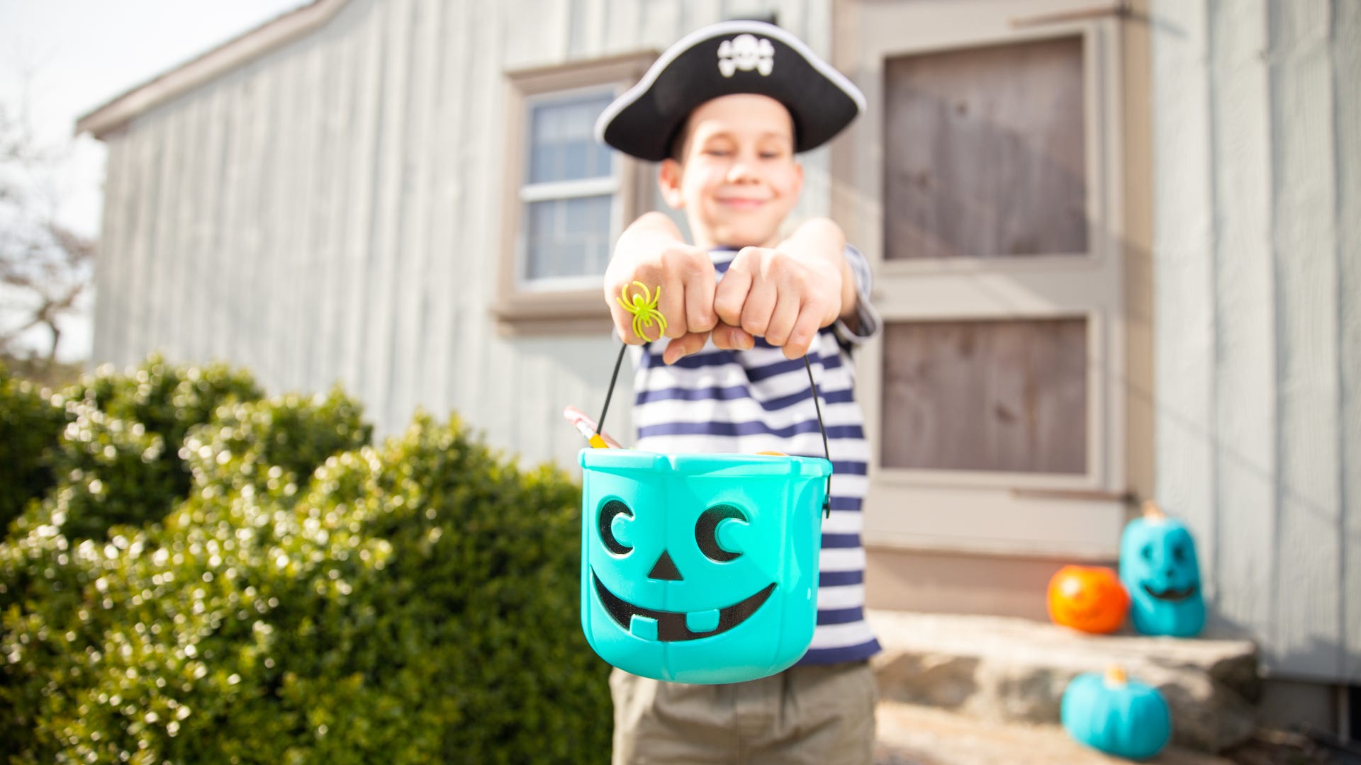 The Teal Pumpkin Project: Is Your Halloween Safe for Youngsters?