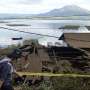 Moderate earthquake rocks Bali, killing at the least 3