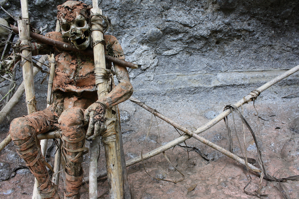The Closing Papuan Mummies