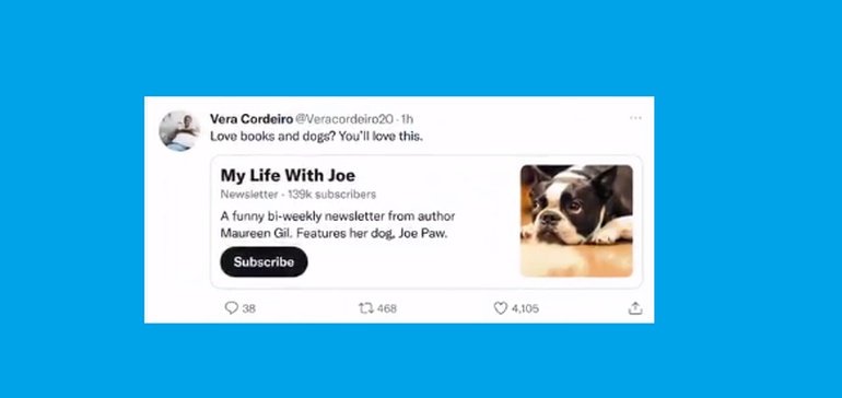 Twitter Provides Revue Newsletter Subscription Playing cards in Tweets