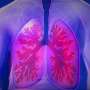 Intervention eliminates Black-white gaps in survival from early-stage breast and lung cancer