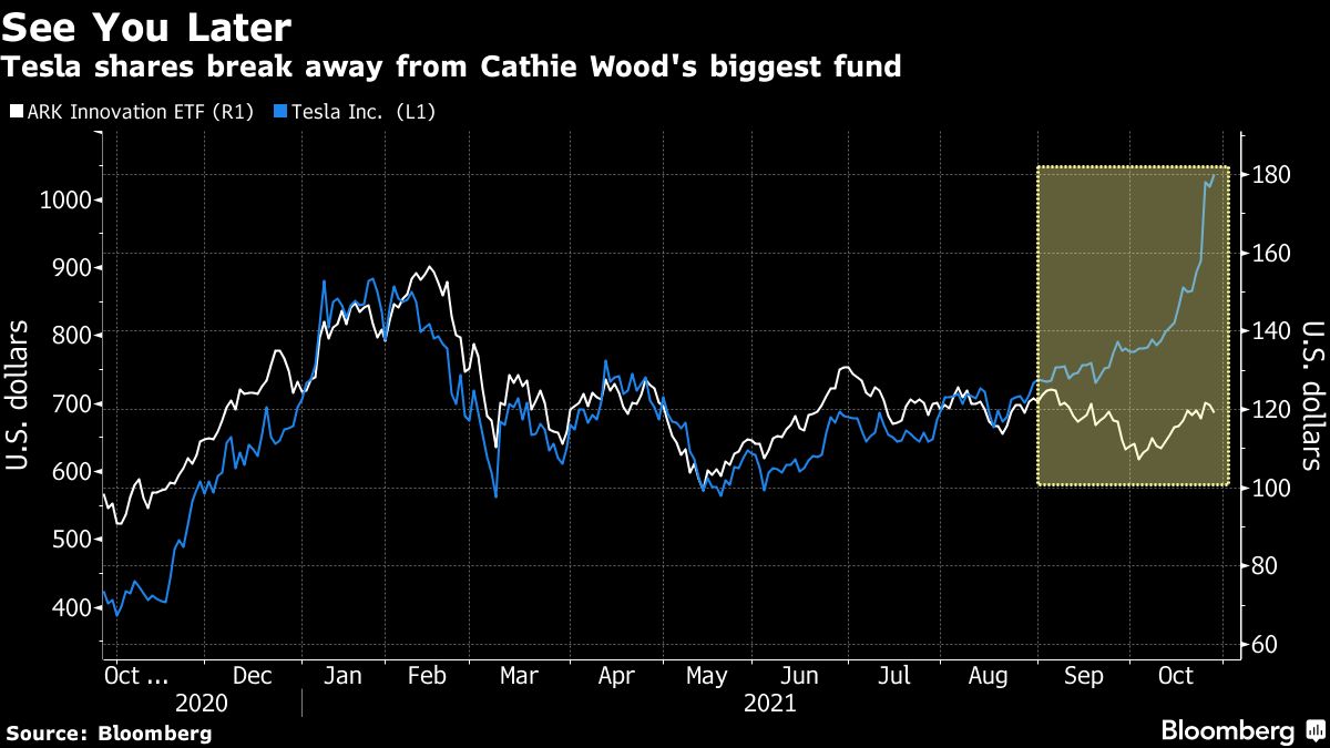 Anti-Ark ETF Making a wager Against Cathie Wooden Adjustments Its Title